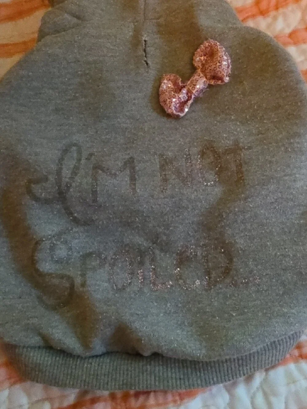 Gray Hooded Pet Sweater with Pink Sequin Bow + Navy Pink Knit Dress